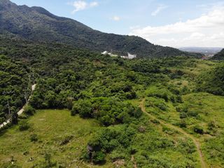 Investment Opportunity: 268,605 SQM Development Lot in Calamba Near TR4