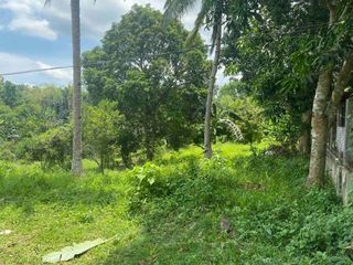 1000sqm Residential Lots For Sale, Indang. From P2.9k/sqm