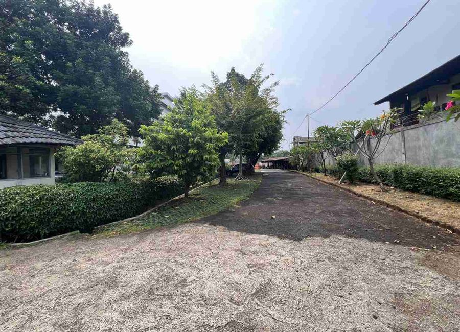 place photo 7