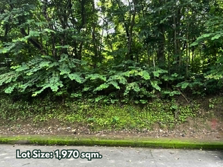 Prime Lot for Sale in Town & Country Estates, Antipolo, Rizal