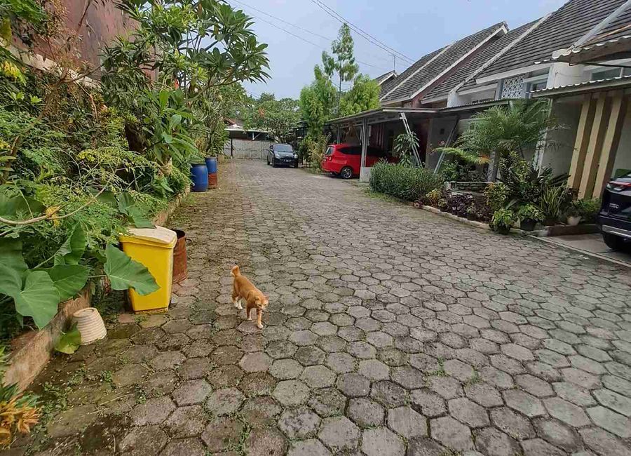 place photo 4