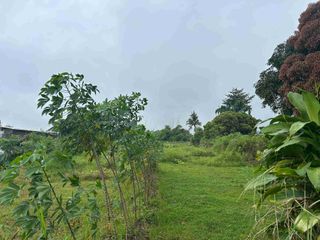 TANAH dekat JATIM PARK batu malang MURAH cocok untuk villa/cafe/hotel