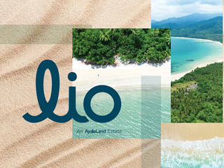 Commercial Lots in Lio EL Nido Sitio Aplaya