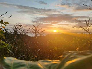 Residential Lot for Sale in Pililla Heights, Pililla Rizal | Scenic Mountain & Lake Views | 200 sqm Starting Lot