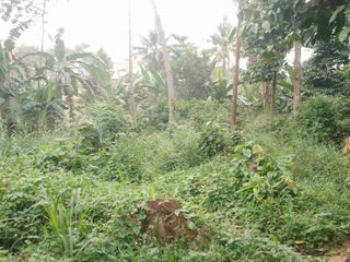 tanah 5000 meter di gunter langkapura