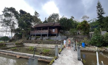 Jual Rumah + Villa + Kebun + Toko + Kolam Ikan di Wanayasa Purwakarta