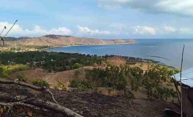 huge land with ocean view in labuan pon sekotong freehold title