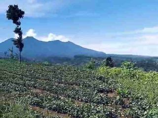 di jual lahan SHM view gunung 3 km dr jalan propinsi Cicurug Sukabumi
