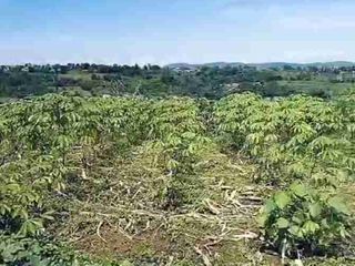 di jual tanah kebun shm view gunung akses mobil di Cicurug sukabumi