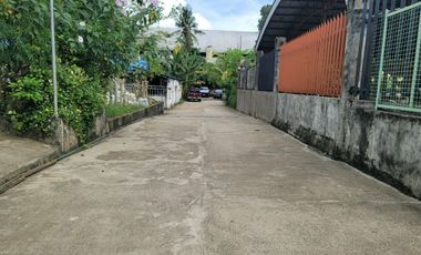 Adjacent Lots for Sale in Talamban, Cebu City