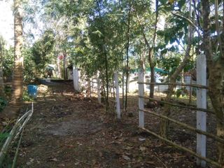Farm Lot For Sale Buck Estate Alfonso Cavite-MC