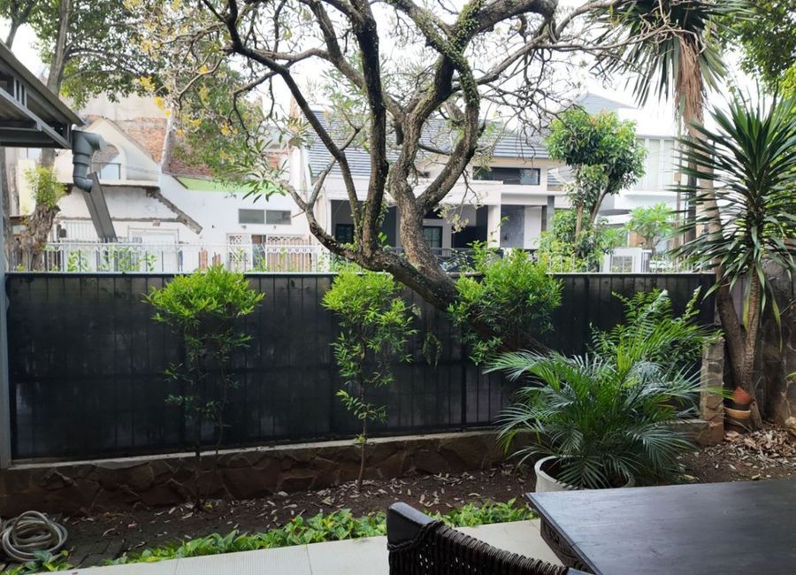 place photo 33