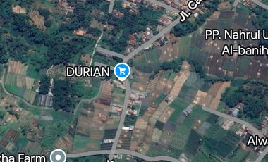 DIJUAL TANAH PREMIUM CIATER – JALAN CAGAK, SUBANG