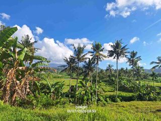 Tanah Murah 4 are di Bali