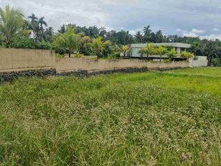 termurah. buc pejeng kawan ubud jln utama 33.8 are tanah di jual