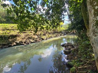 dijual tanah strategis dengan view sawah dan los sungai di daerah wisata penebel tabanan dengan kontur tanah datar