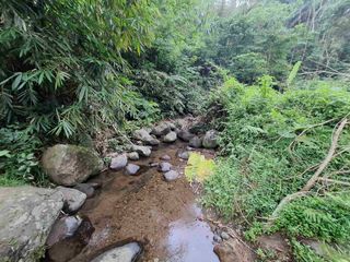 dijual tanah kebun dengan view sawah dan los sungai kecil yang sangat indah dan strategis di ketinggian 600mdpl