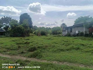 Farm Lot with Kubo For Sale in Candelaria, Quezon