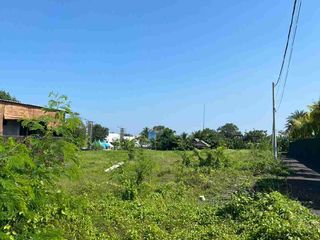 Tanah di sewakan