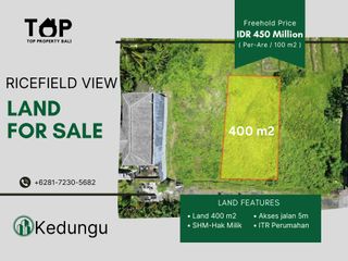 Tanah Plot Kecil 400 m2 atau 4 Are di Kedungu Nyitdah Tabanan SHM