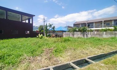 Foreclosed Property - 294 sqm Lot For Sale in Ibayo Silangan, Sapa, Naic, Cavite