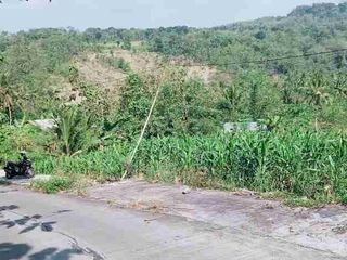 DIJUAL TANAH PERKEBUNAN STRATEGIS VIEW PEMANDANGAN ALAM – KECAMATAN PRINGAPUS, KABUPATEN SEMARANG