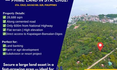 Almost 3-Hectares Prime Land for Sale in Sta Cruz, Davao Del Sur, Philippines
