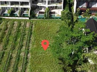 pejeng kawan area deket ubud 5 are termurah