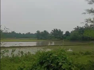 Jual Tanah 8 Hektar Desa Kopo ,Maja Serang banten