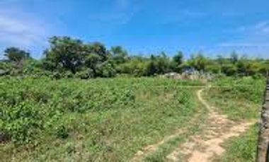 TAYTAY PALAWAN VACANT LOT 3 HECTARES FLEXIBLE  TERMS FOR SALE
