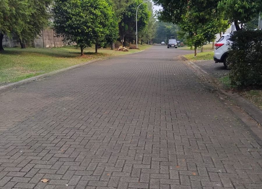 place photo 14