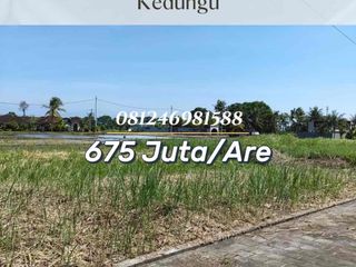 SALE Tanah View Sawah Dekat Pantai Kedungu