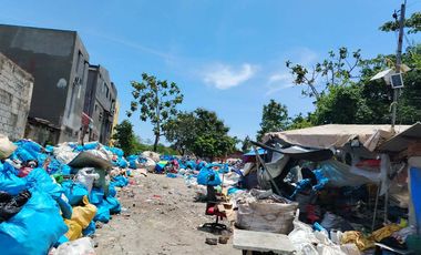 3,141sqm Lot for Sale in Narra Road Extension, San Pedro, Laguna