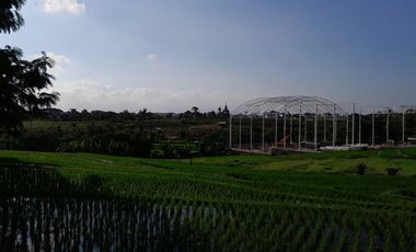 Dijual Tanah View Sawah  Pegending, Dekat Padonan Canggu Bali
