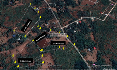 89,875 SQ.M Prime Lot for Sale in Tangnan, Panglao Island, Bohol