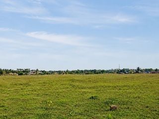 Rare Listing! Tanah Industri Tigaraksa Hadap Utara, Bisa Beli Per Hektare