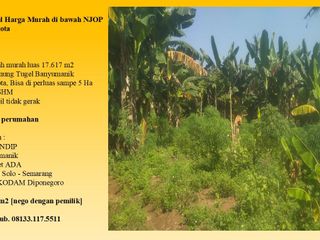 Dijual Tanah Harga 1jt/m2 di bawah NJOP Semarang Kota