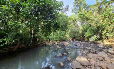Dijual tanah murah los sungai dekat villa di bali