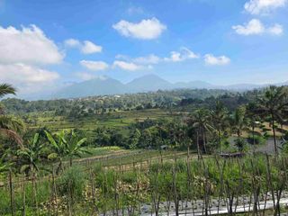 Dijual tanah murah view gunung sawah terasering dan lembah di tabanan bali