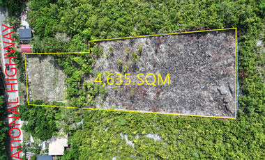 Prime Lot for Sale located in Punta Cruz, Maribojoc, Bohol