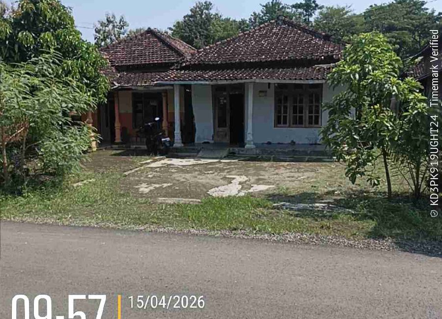 place photo 6