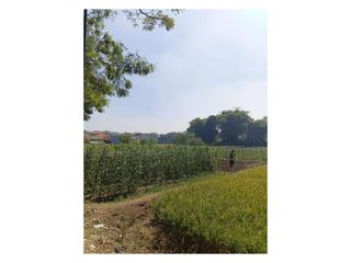 Jual Tanah Soreang Bandung 2553m2 SHM Dekat Exit Tol Seroja Nego