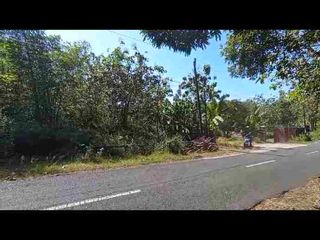 Jual Tanah Wintaos, Girimulyo, Kec. Panggang, Kabupaten Gunungkidul, Daerah Istimewa Yogyakarta
