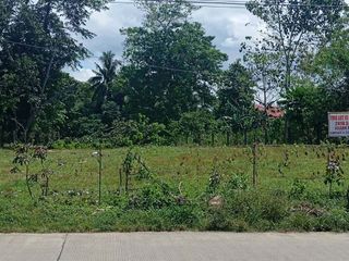 2,410 SQM Lot for Sale – Manga District, Tagbilaran City, Bohol