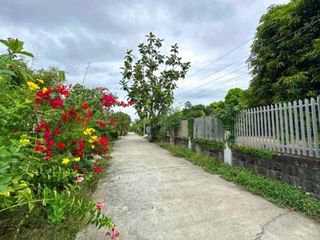 3 Hectare with 5 Houses for Sale in Lubao Pampanga