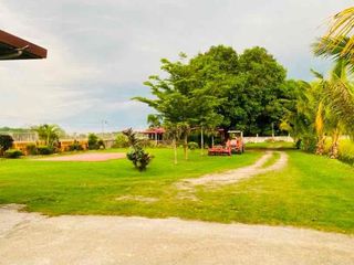 2 Hectare Income Generating Farm in Florida Blanca Pampanga