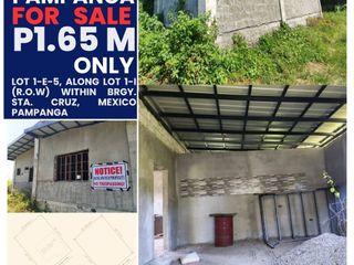 Bank-Foreclosed Residential Residential Property in Brgy. Sta. Cruz, Mexico, Pampanga