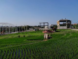 Dijual Tanah Siap Bangun Dekat Canggu dengan View Sawah, Hadap Selatan, dan Lingkungan Villa