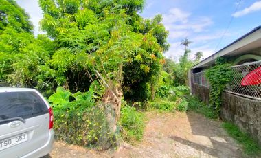 Foreclosed Property - 180 sqm Lot For Sale in Calubcob, Naic, Cavite