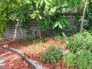 Lot Only for Sale in Greenville Heights, Consolacion, Cebu